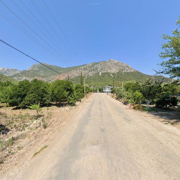 Fotoğraf 7