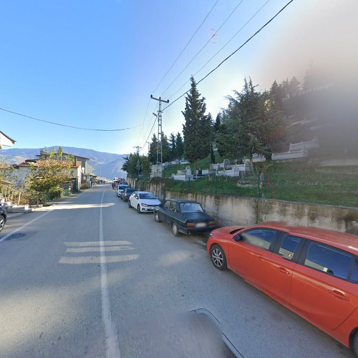 Fotoğraf 7
