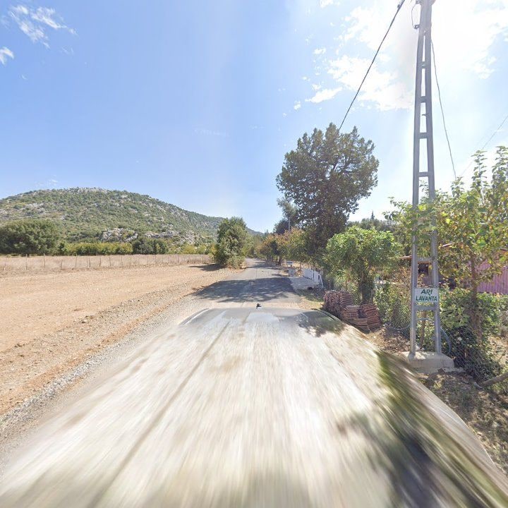 Fotoğraf 10