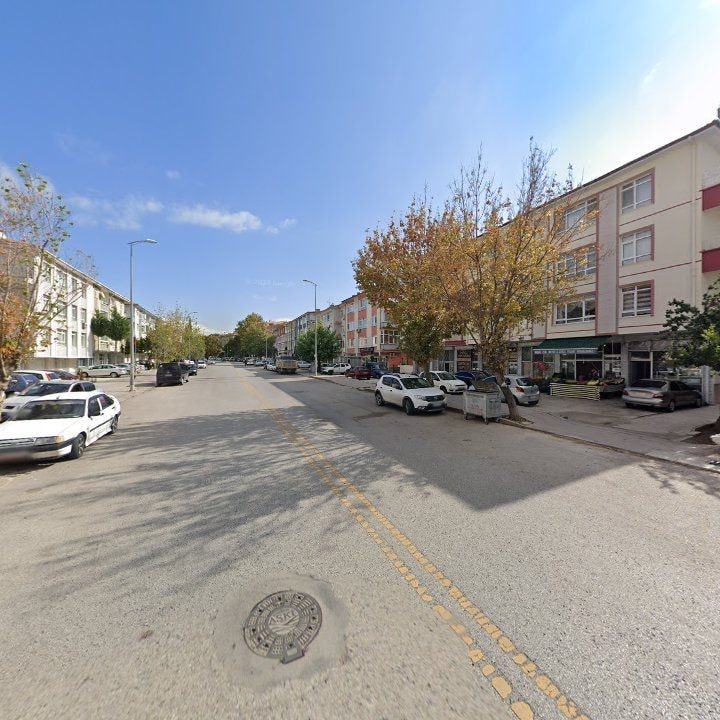Fotoğraf 9