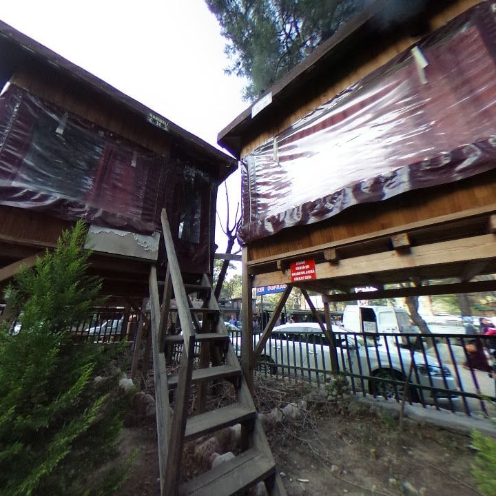 Fotoğraf 11
