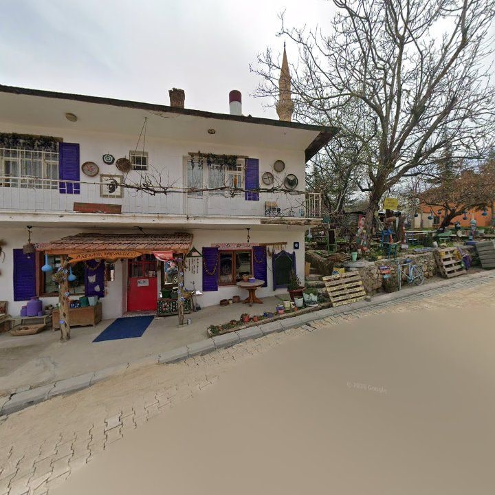 Fotoğraf 8