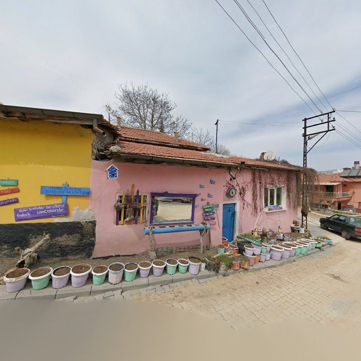 Fotoğraf 10