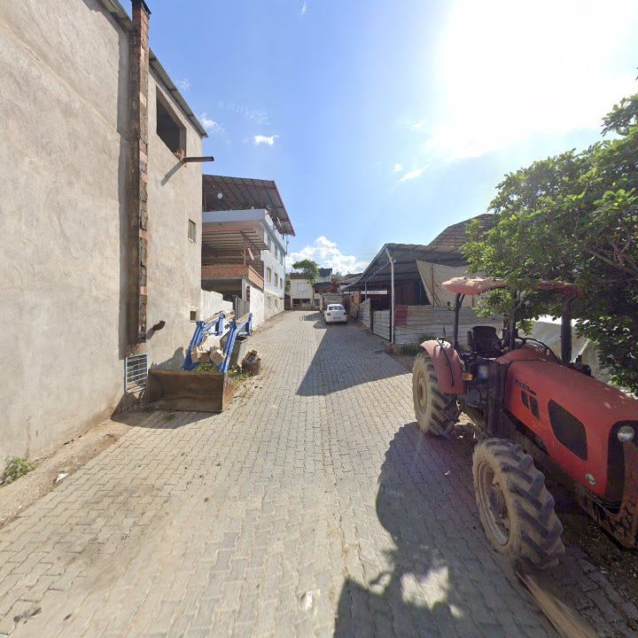 Fotoğraf 6