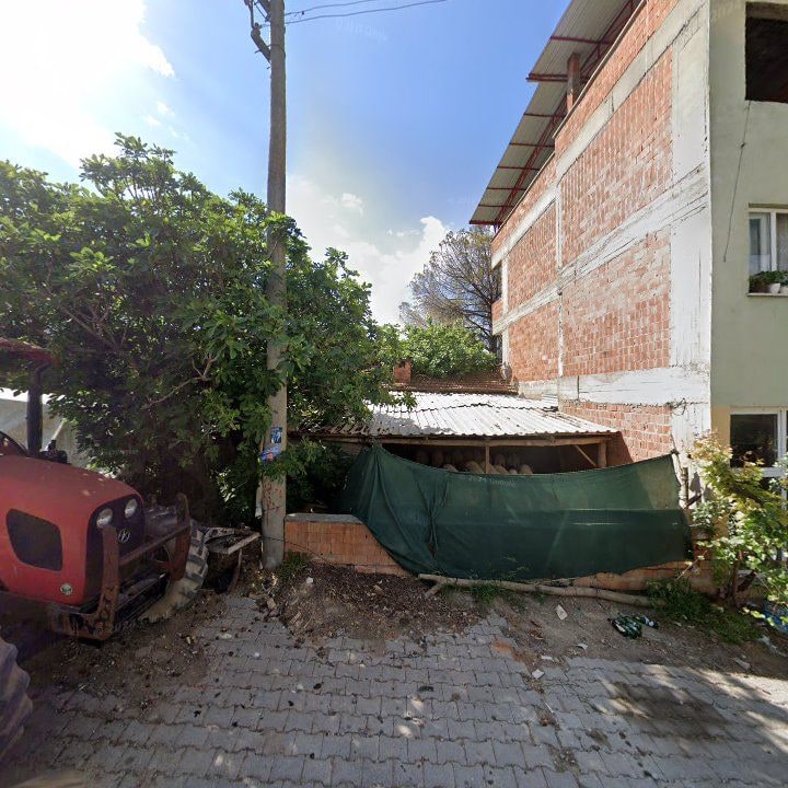 Fotoğraf 7