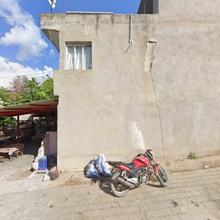 Fotoğraf 9