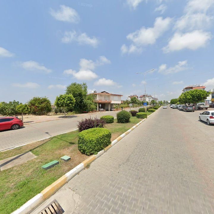 Fotoğraf 11
