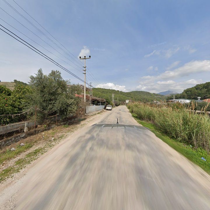 Fotoğraf 12