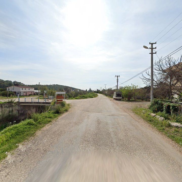 Fotoğraf 10