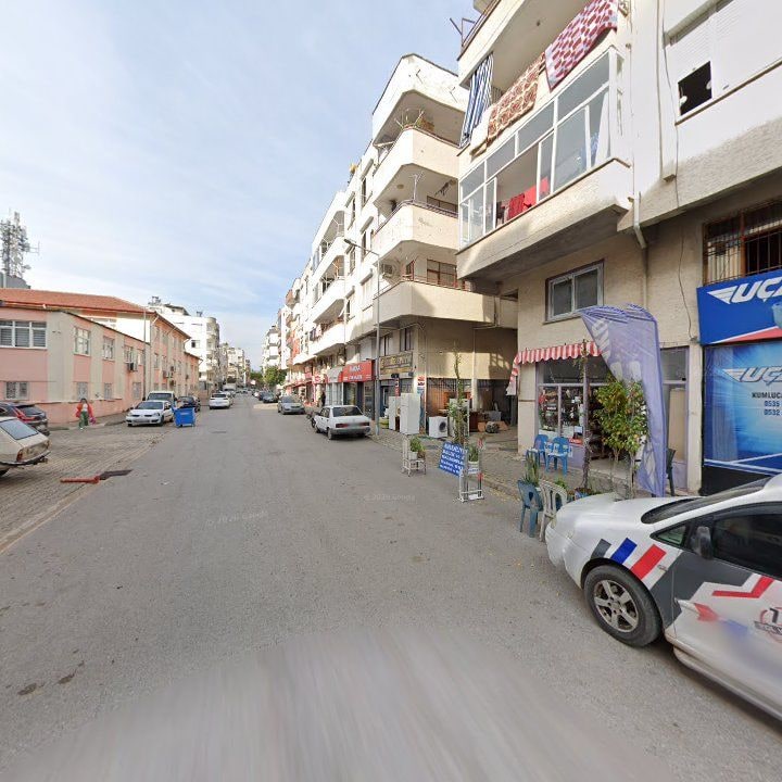 Fotoğraf 12
