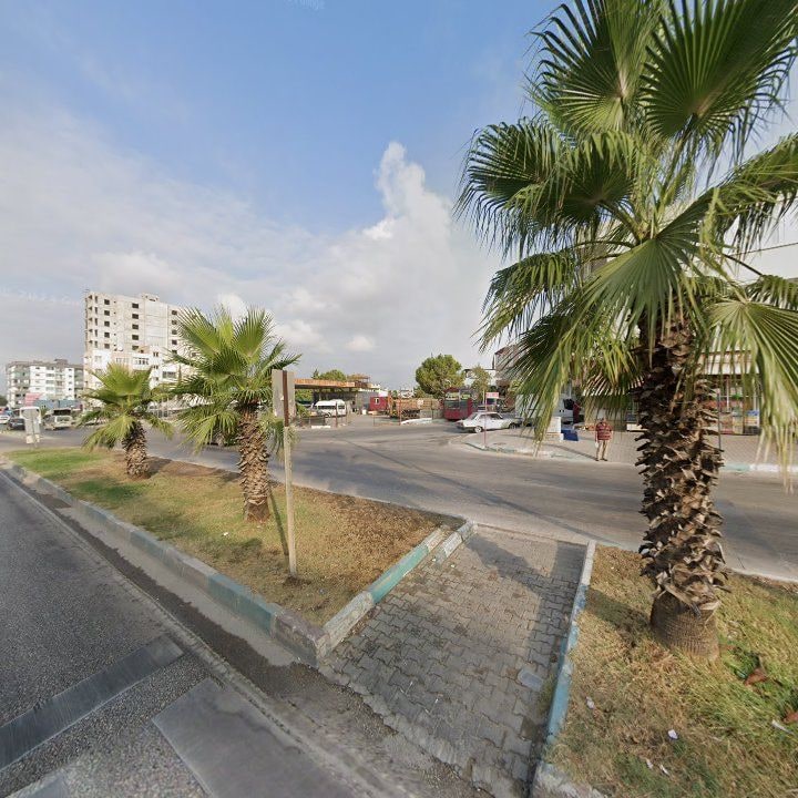 Fotoğraf 7