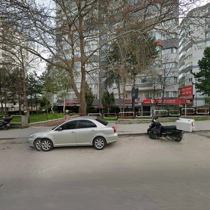 Fotoğraf 7