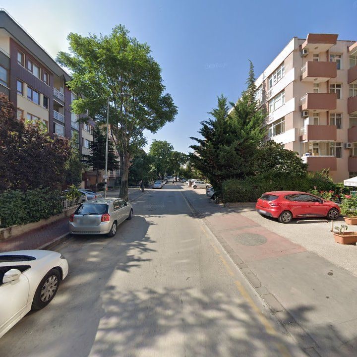 Fotoğraf 11