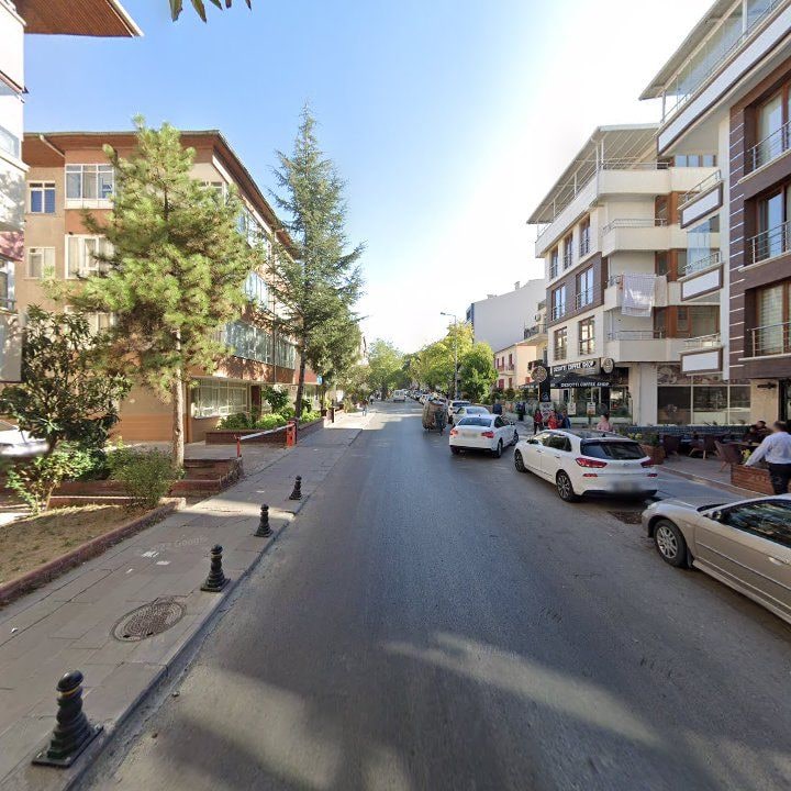 Fotoğraf 14