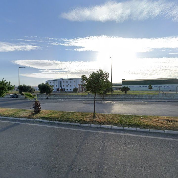 Fotoğraf 10