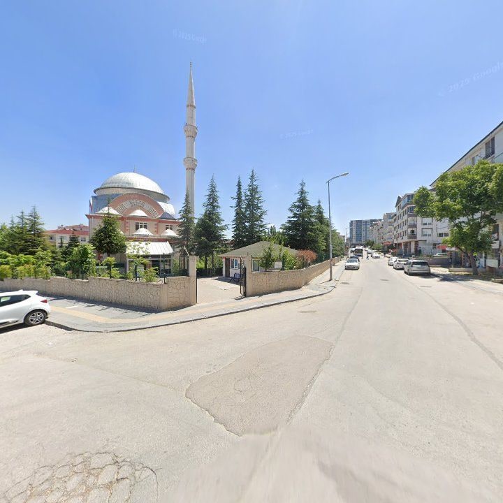 Fotoğraf 9