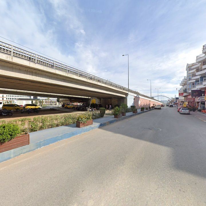 Fotoğraf 14
