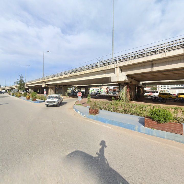 Fotoğraf 13