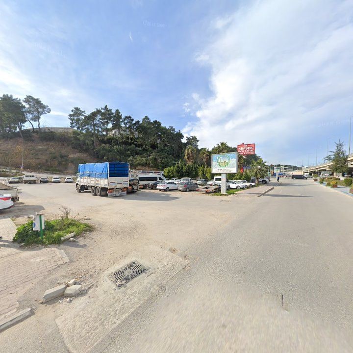 Fotoğraf 12