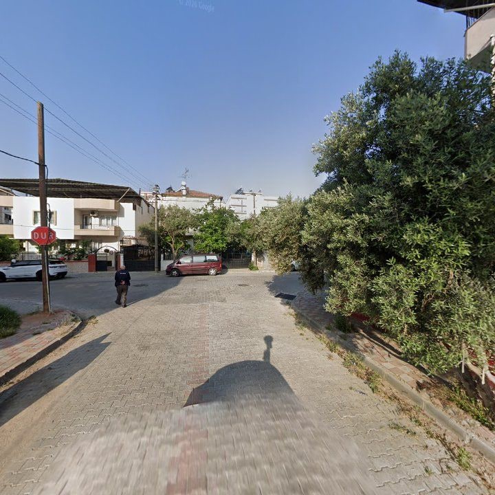 Fotoğraf 9
