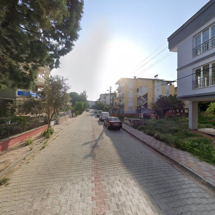 Fotoğraf 11
