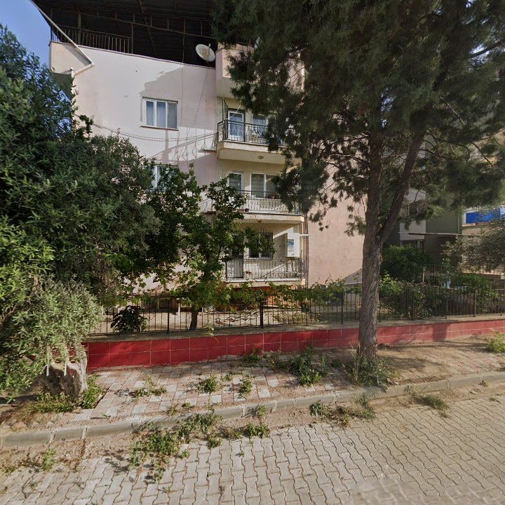 Fotoğraf 10