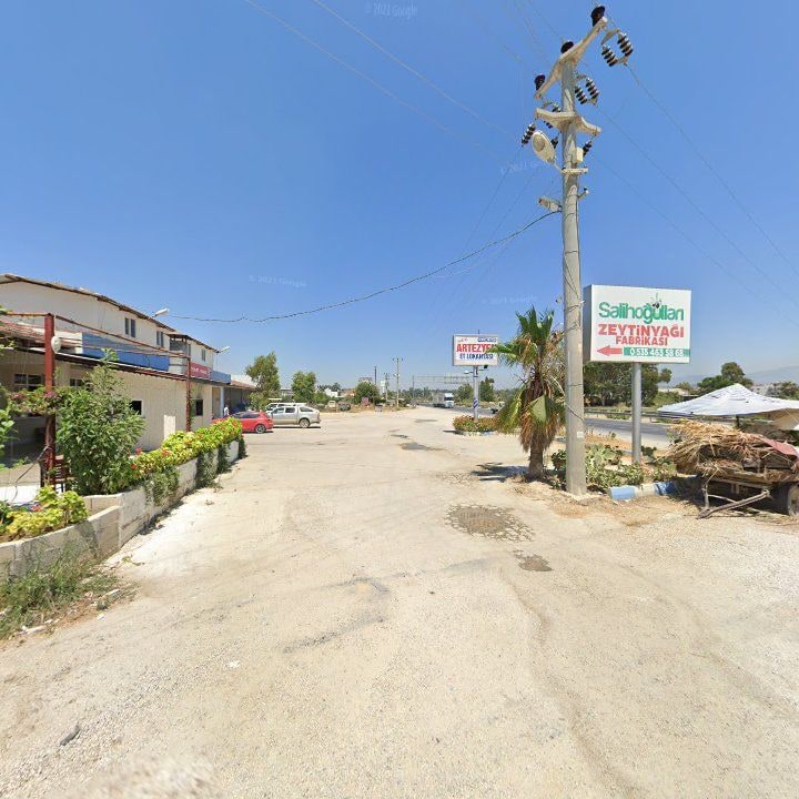 Fotoğraf 10