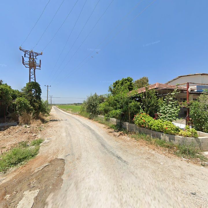 Fotoğraf 9