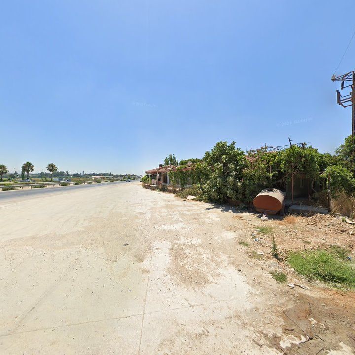 Fotoğraf 12