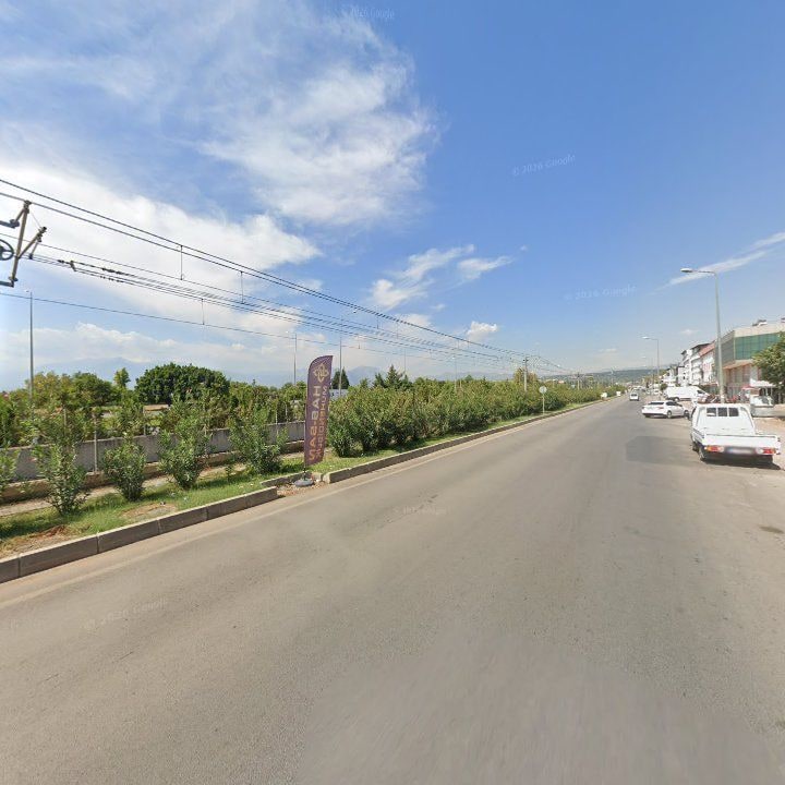Fotoğraf 7