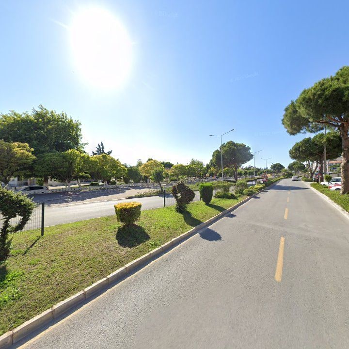 Fotoğraf 10