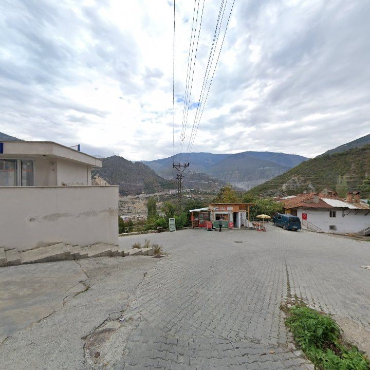 Fotoğraf 10