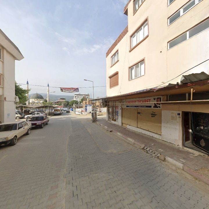 Fotoğraf 7