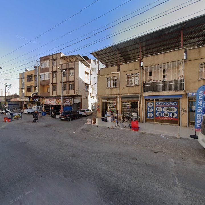 Fotoğraf 6