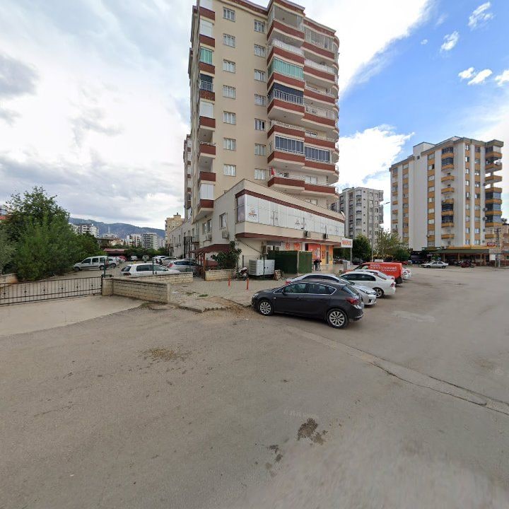 Fotoğraf 10