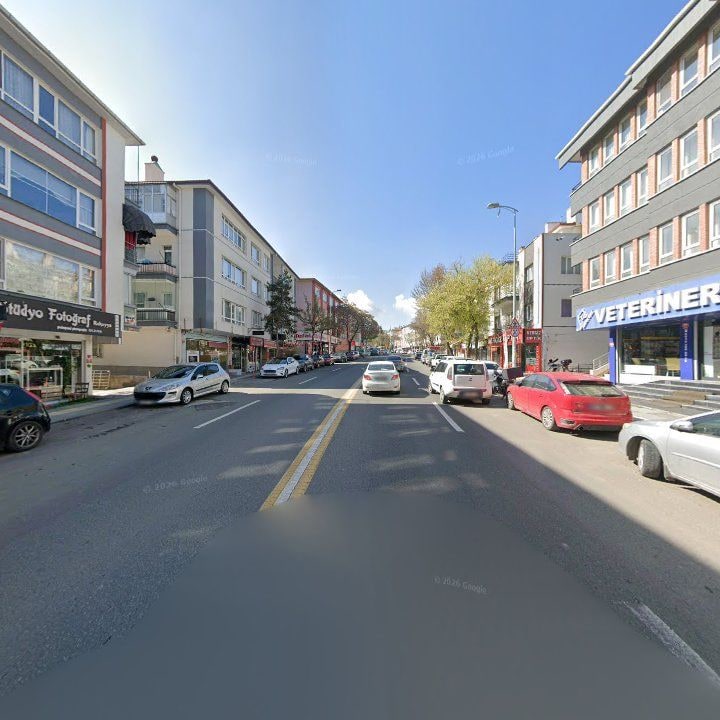 Fotoğraf 8