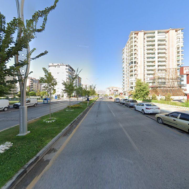 Fotoğraf 10