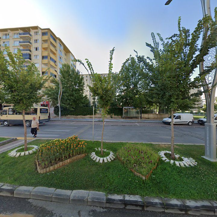 Fotoğraf 9