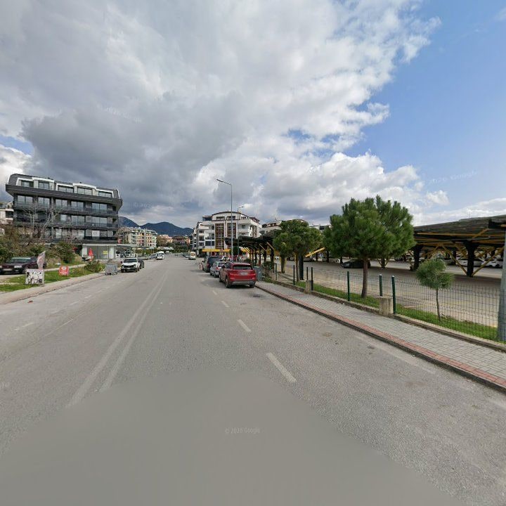 Fotoğraf 8