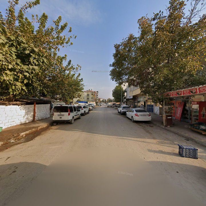 Fotoğraf 4