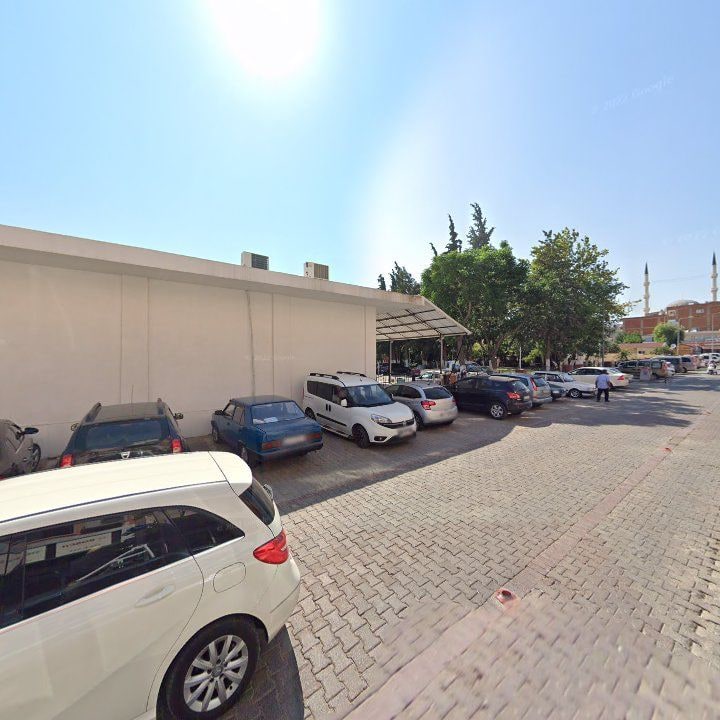 Fotoğraf 6