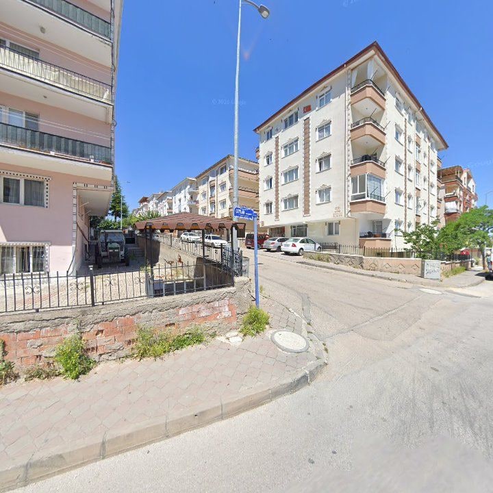 Fotoğraf 9