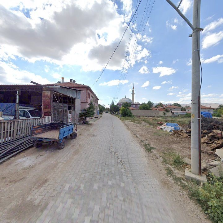Fotoğraf 3
