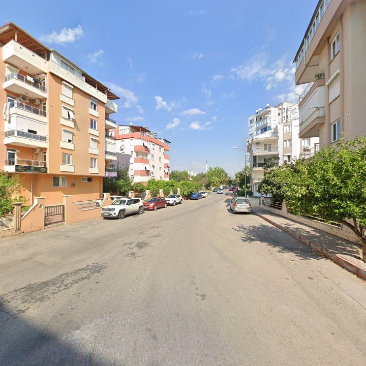 Fotoğraf 5