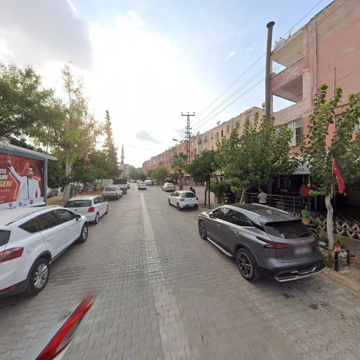 Fotoğraf 8