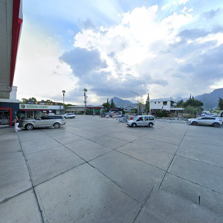 Fotoğraf 9