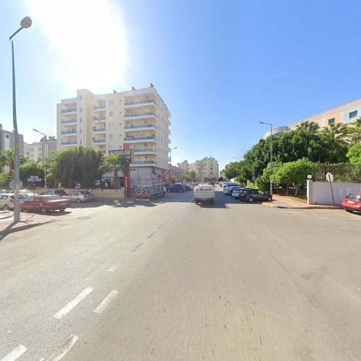 Fotoğraf 7
