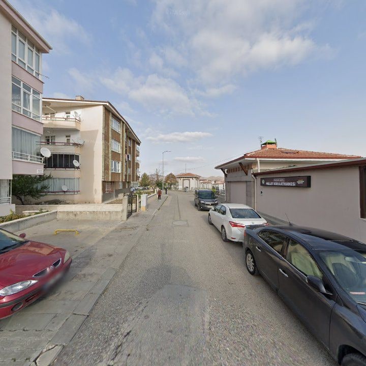 Fotoğraf 8