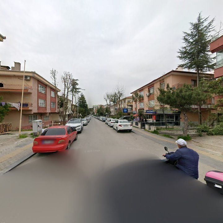 Fotoğraf 8