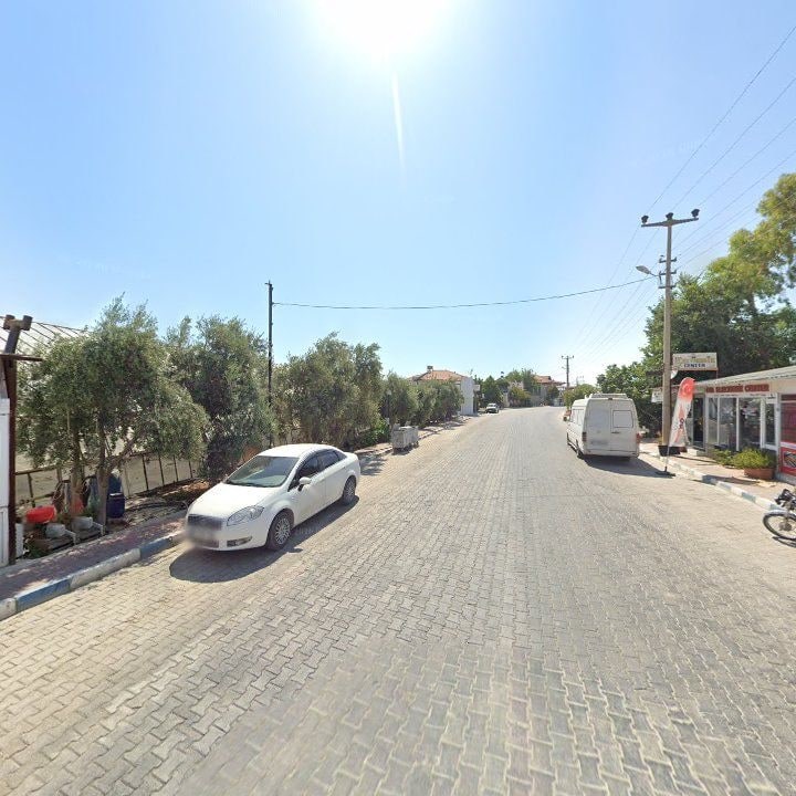 Fotoğraf 9